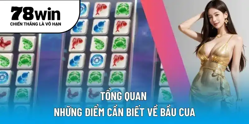 Tổng quan những điểm cần biết về bầu cua