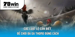Các luật lệ cần biết để chơi đá gà Thomo đúng cách