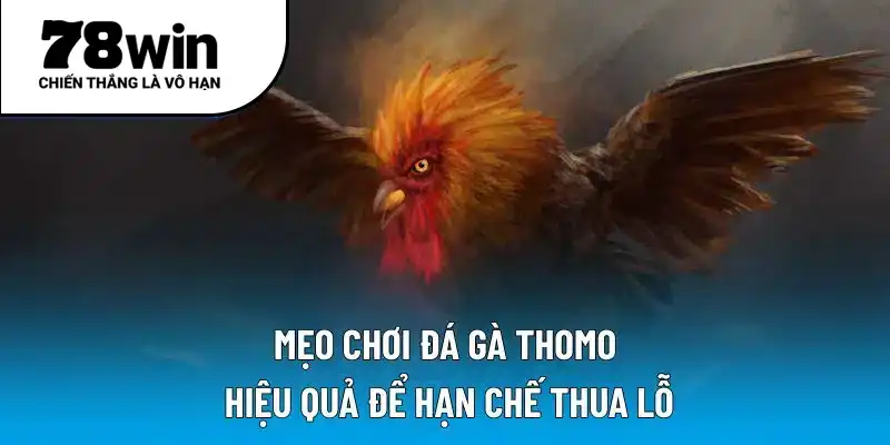 Mẹo chơi đá gà Thomo hiệu quả để hạn chế thua lỗ