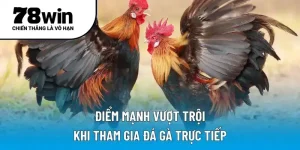Điểm mạnh vượt trội khi tham gia đá gà trực tiếp
