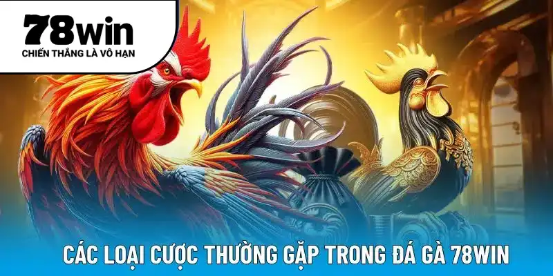 Các loại cược thường gặp trong đá gà 78WIN